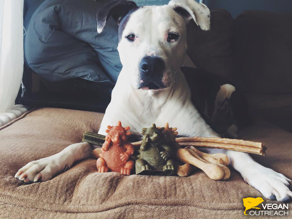 Snacks Whimzees "Hedgehog"