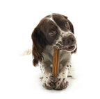 Snack Whimzees "Stix" - M: Perros 12-18 kg / 1 unidad