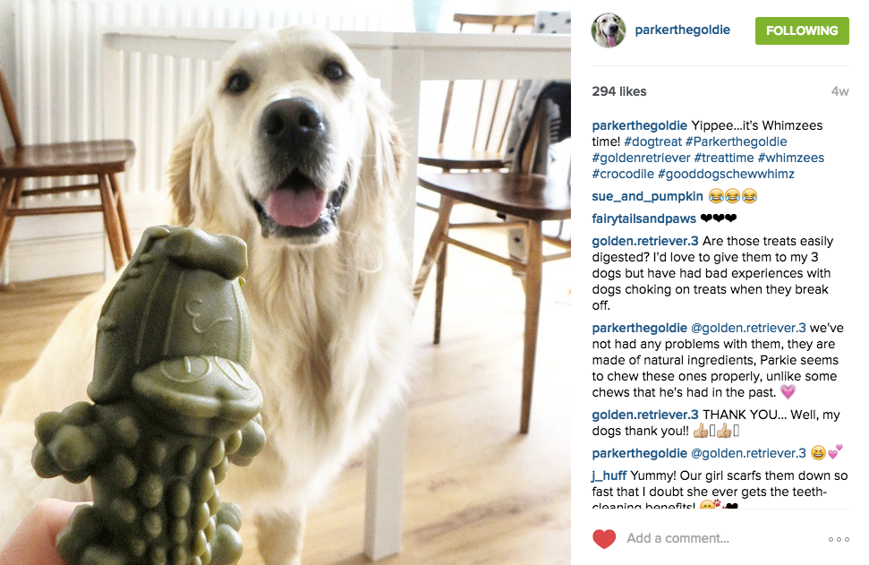 Snacks Vegetales Whimzees "Alligator"