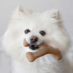 Benebone Wishbone Tocino