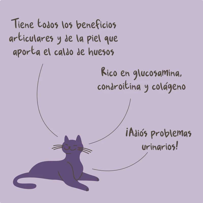 Winga Caldo de Huesos para Gatos 180 g