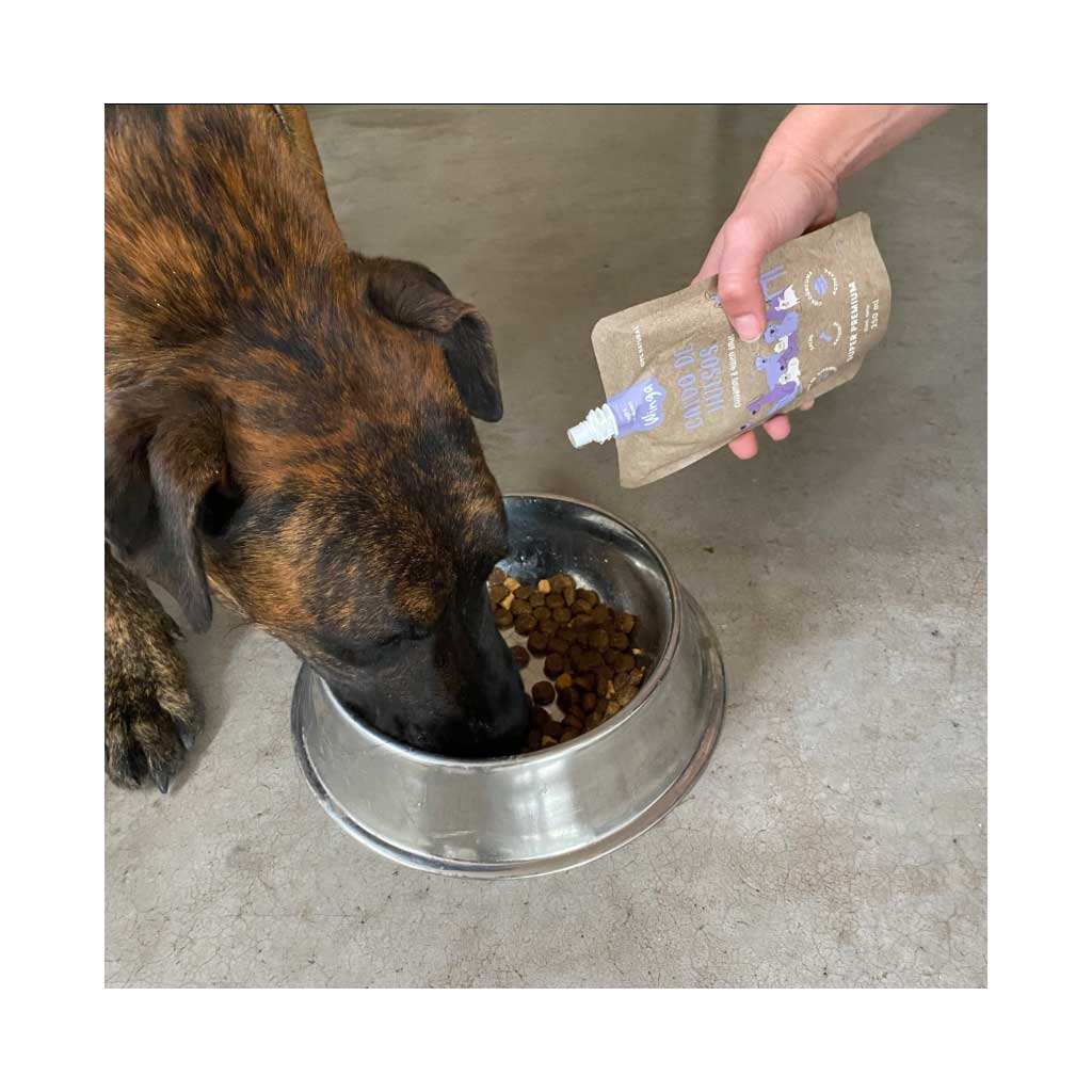 Winga Caldo de Huesos para Perros 250 ml