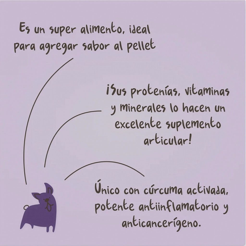 Winga Caldo de Huesos para Perros en pouch de 250 g con tapa dosificadora, diseño café y dibujos de perros en tonos morados.