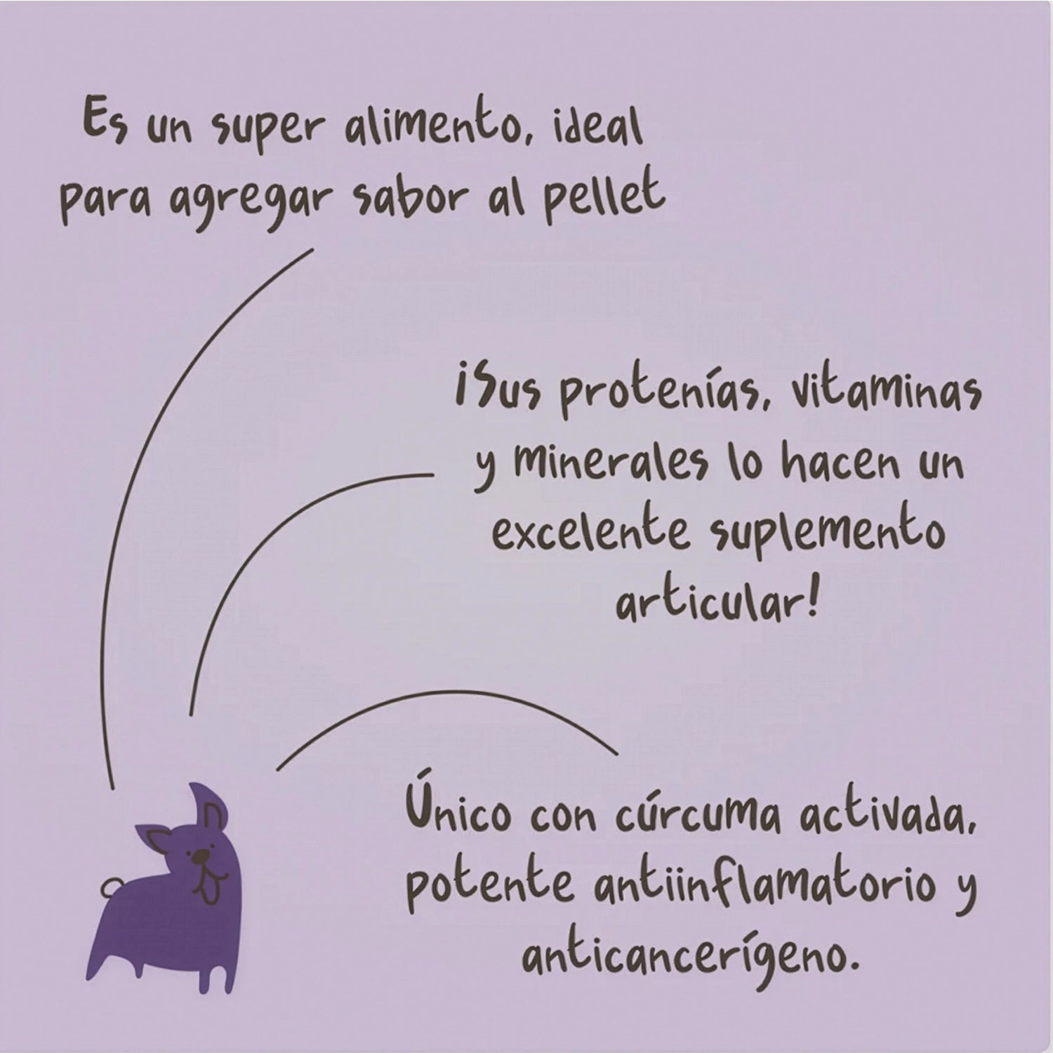 Winga Caldo de Huesos para Perros en pouch de 250 g con tapa dosificadora, diseño café y dibujos de perros en tonos morados.