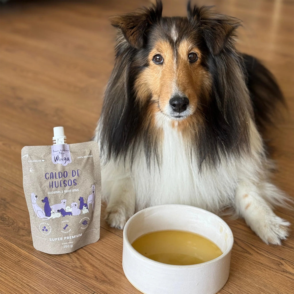 Winga Caldo de Huesos para Perros en pouch de 250 g con tapa dosificadora, diseño café y dibujos de perros en tonos morados.