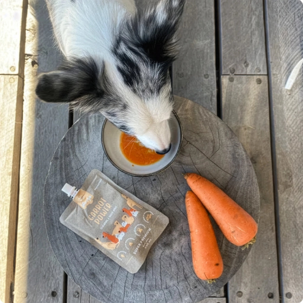 Winga Carrot Power para Perros en pouch de 250 g con tapa, suplemento 100% natural de zanahoria e ilustraciones de perros.
