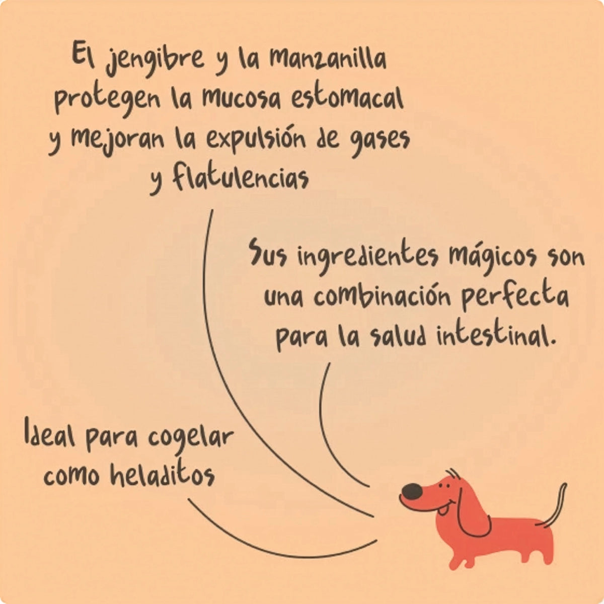 Winga Carrot Power para Perros en pouch de 250 g con tapa, suplemento 100% natural de zanahoria e ilustraciones de perros.