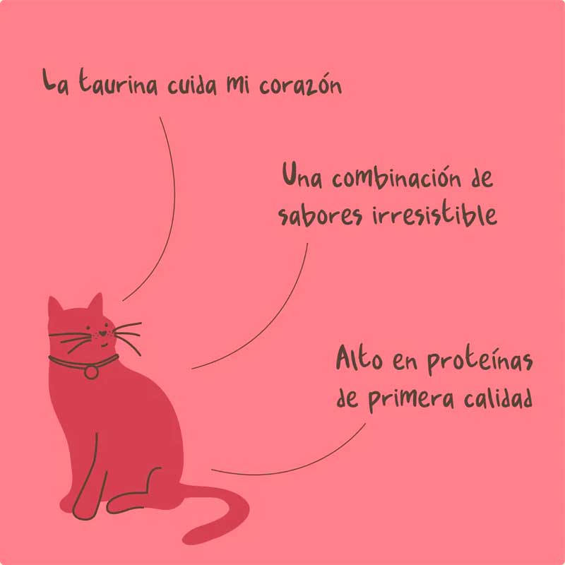 Winga Magic Salmon para Gatos 90 g