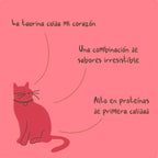 Winga Magic Salmon para Gatos 90 g