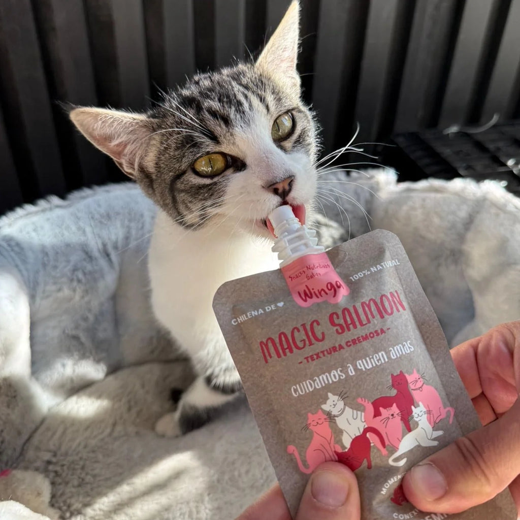 Winga Magic Salmón Pasta para Gatos en pouch de 90 g con tapa, textura cremosa, fórmula 100% natural e ilustración de gatos.