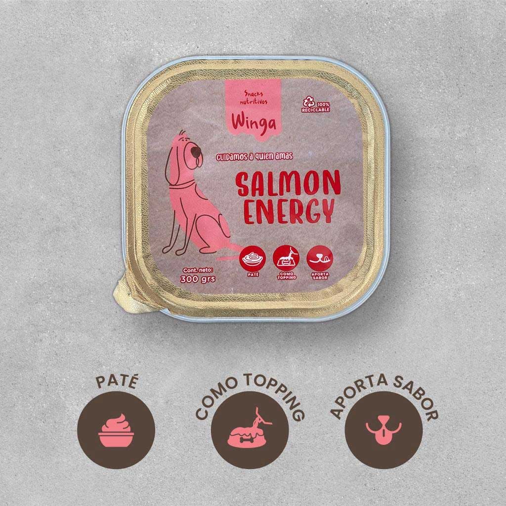 Winga Paté Salmon Energy para Perros 300 g