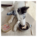 Winga Paté Salmon Energy para Perros 300 g