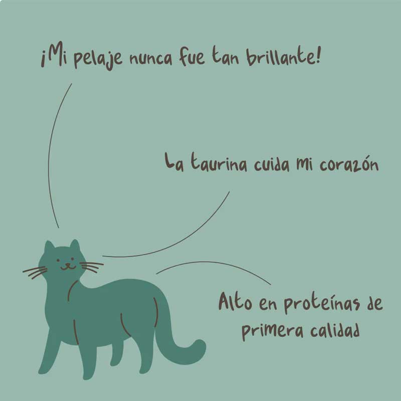 Winga Pork Paradise para Gatos 90 g