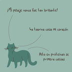 Winga Pork Paradise para Gatos 90 g