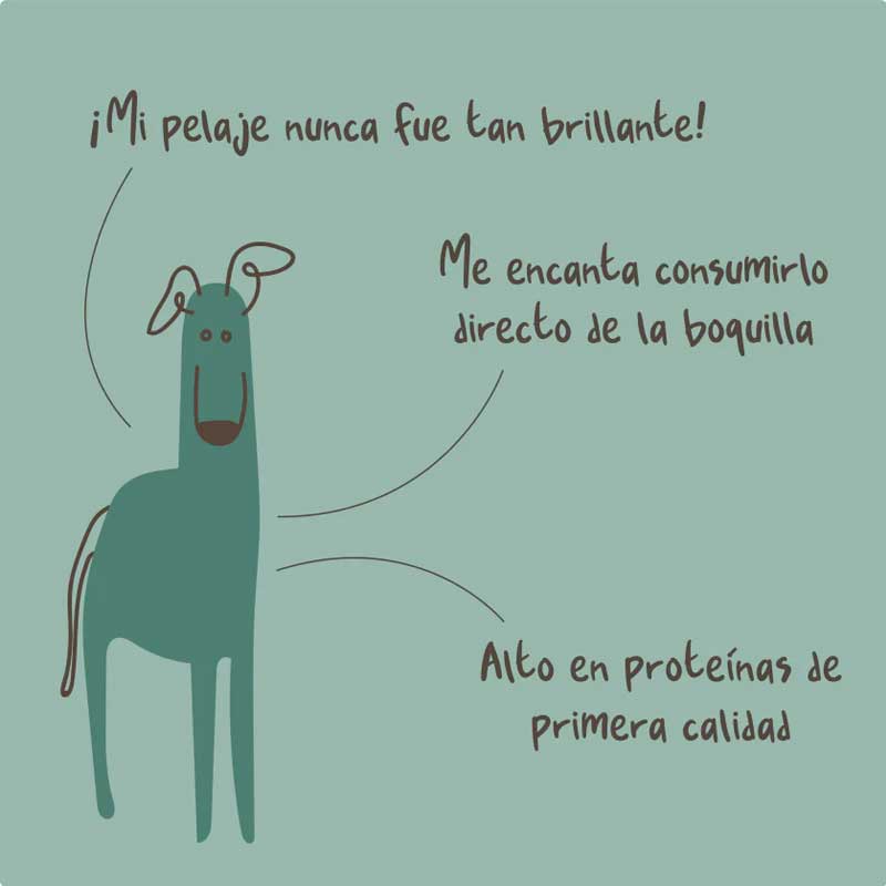 Winga Pork Paradise para Perros 180 g