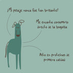 Winga Pork Paradise para Perros 180 g