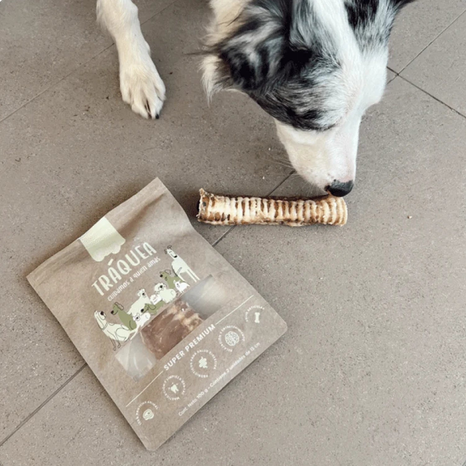 Winga Snack Tráquea para Perros en bolsa de 75 g con dos unidades, ventana transparente e ilustraciones de perros en el envase.