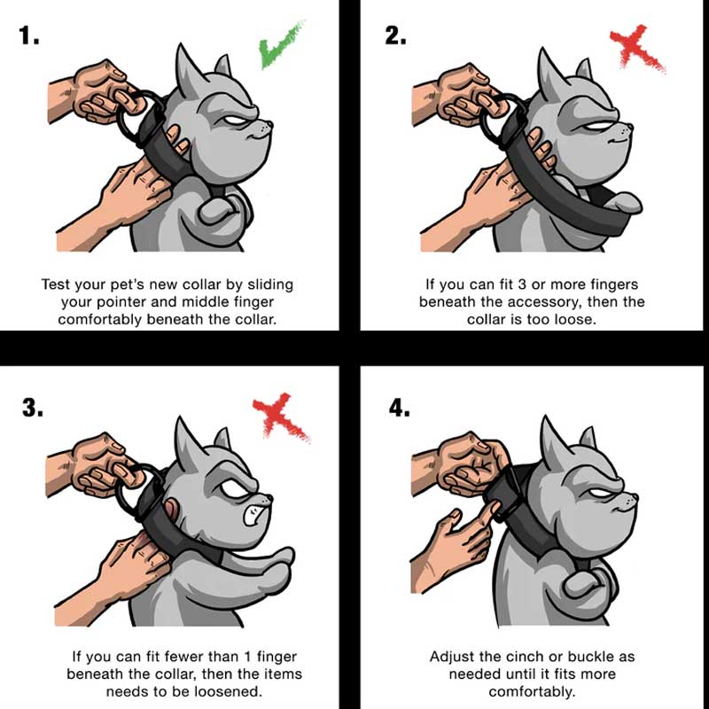 Collar Woof Concept "Combat" para Perros
