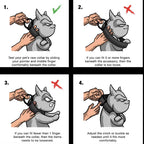 Collar Woof Concept "Polygon" para Perros