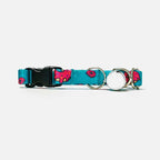 Collar Woof Concept "Neko Five O" para Gatos