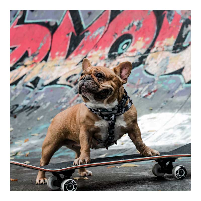 Arnés Woof Concept "Combat" para Perros