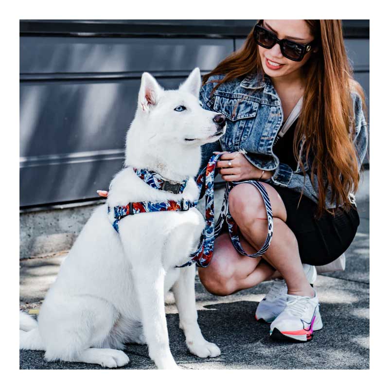 Arnés Woof Concept "Koi" para Perros - Large