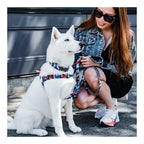 Arnés Woof Concept "Koi" para Perros - Large