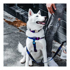 Arnés Woof Concept "Mystic" para Perros