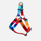 Arnés Woof Concept "Polygon" para Perros - Small