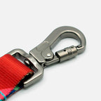 Correa Woof Concept "Polygon" - L