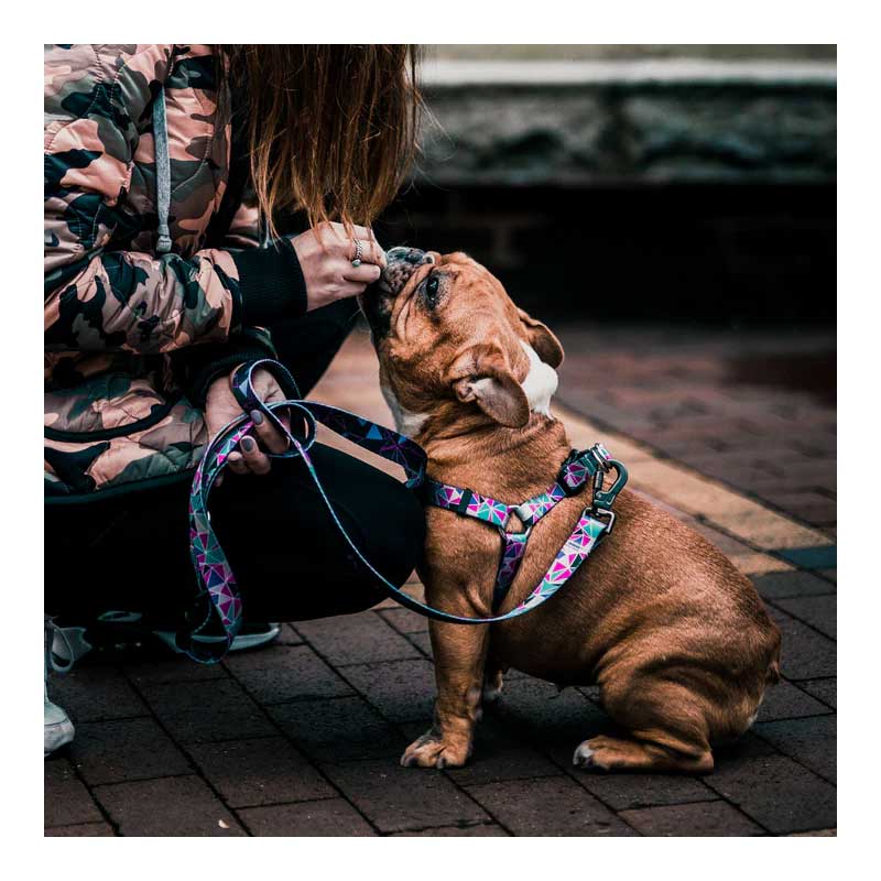 Arnés Woof Concept "Venice" para Perros