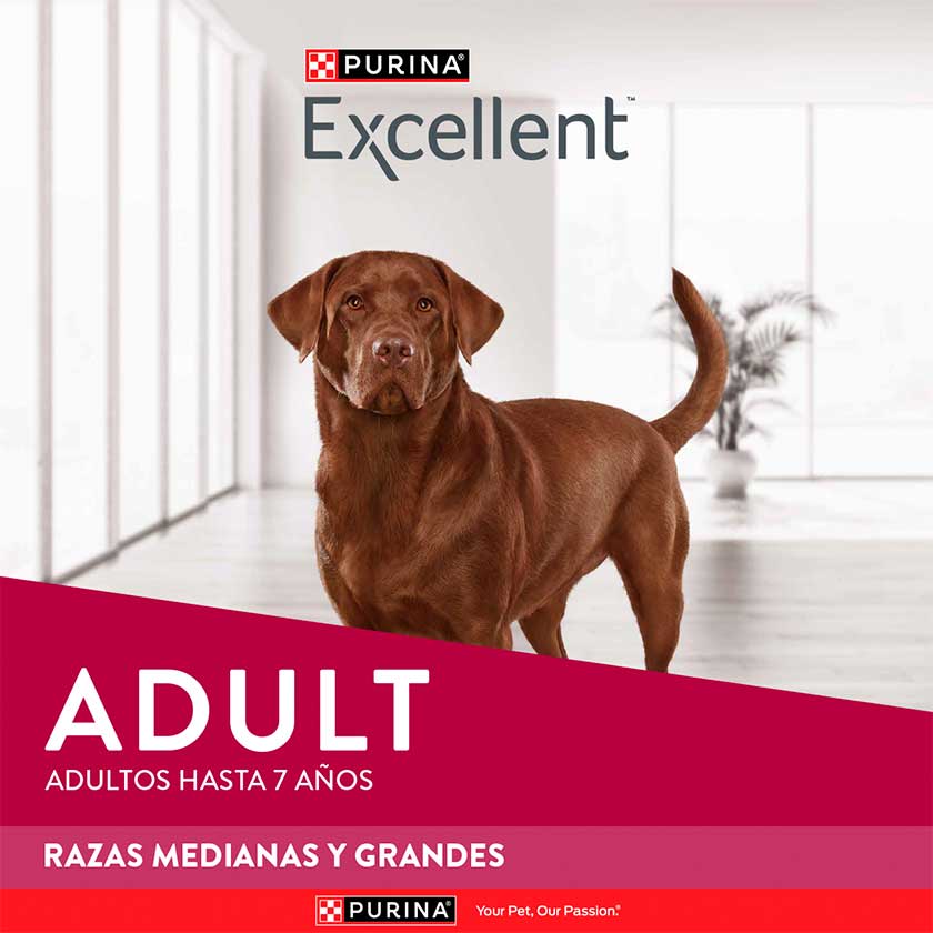 Purina Excellent Perro Pollo y Arroz Adulto Raza Grande 12 Kg