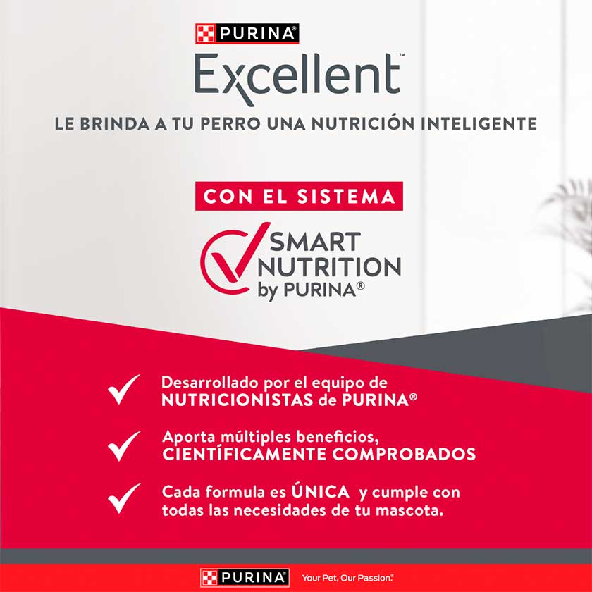 Purina Excellent Perro Pollo y Arroz Adulto Raza Grande 12 Kg