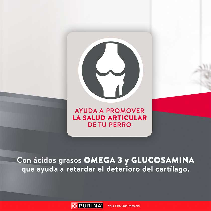 Purina Excellent Perro Pollo y Arroz Adulto Raza Grande 12 Kg