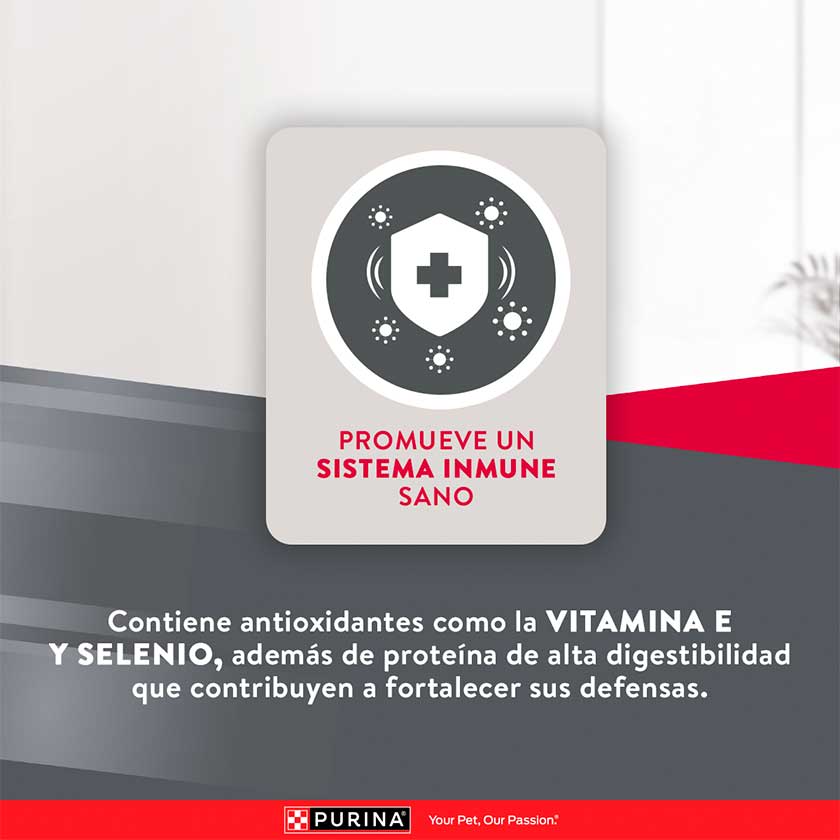 Purina Excellent Perro Pollo y Arroz Adulto Raza Grande 12 Kg