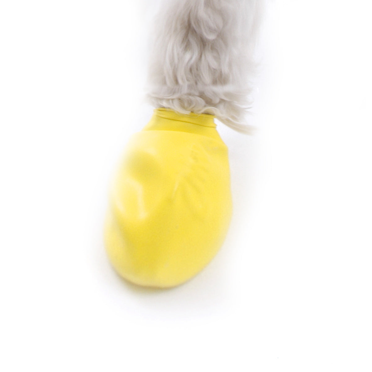 Botas de Goma PawZ Talla XXS