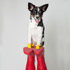 Botas de Goma PawZ Talla XXS