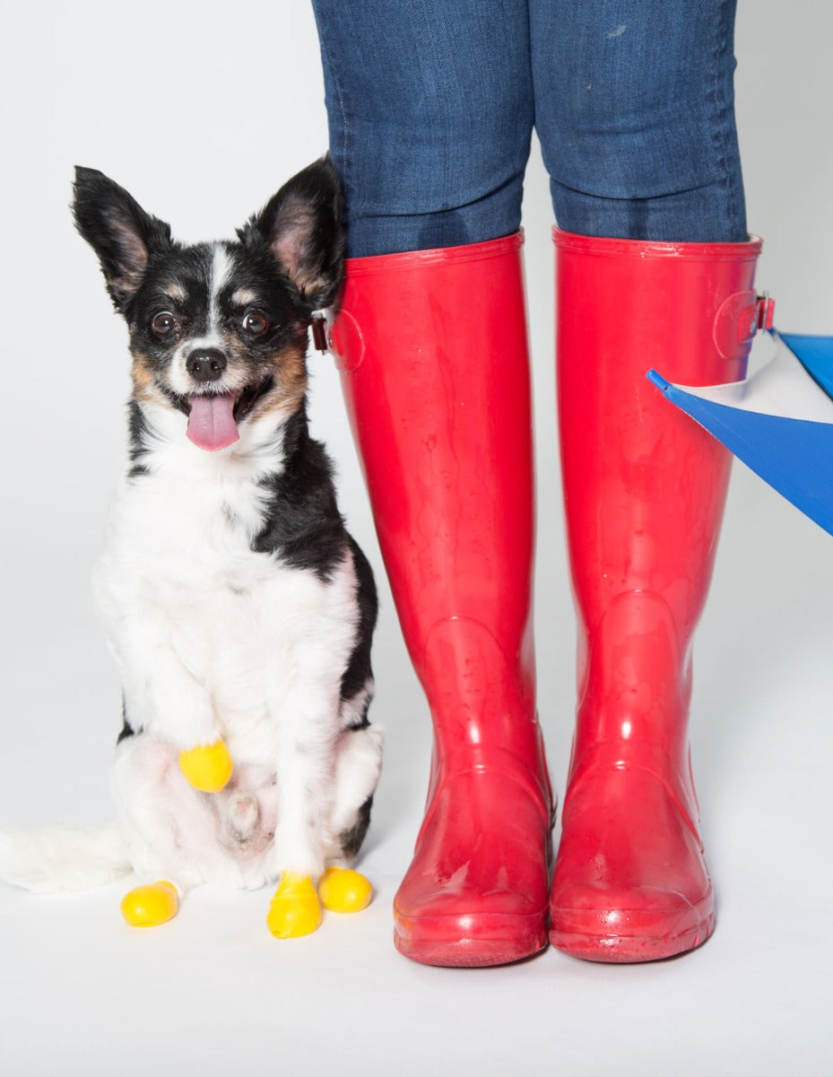 Botas de Goma PawZ Talla XXS