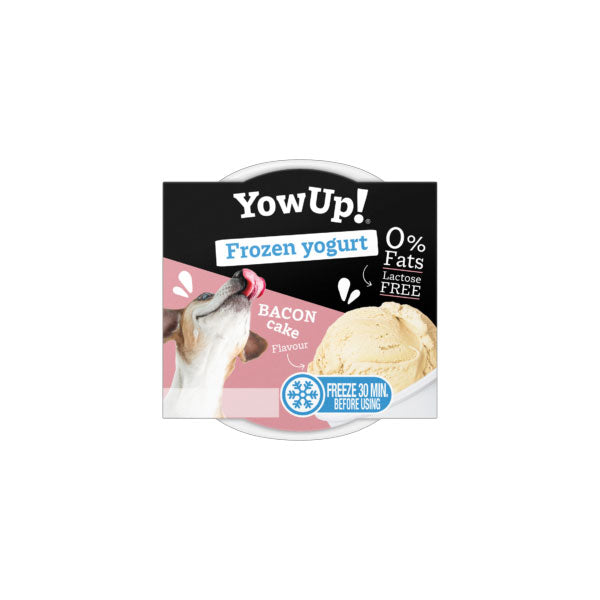 Yow Up! Yogurt Helado Queque de Tocino 110 gr