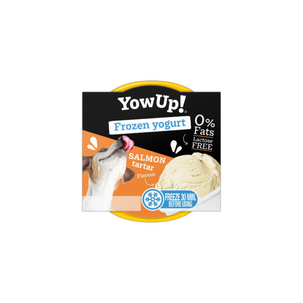 Yow Up! Yogurt Helado Salmón Tartar 110 gr