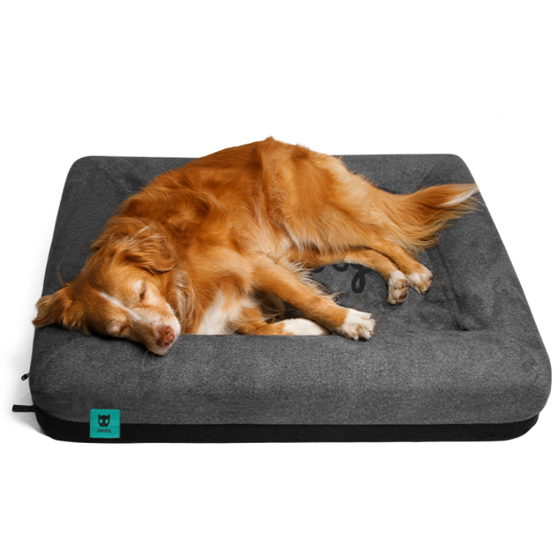 Cama "Skull" Zee.Bed