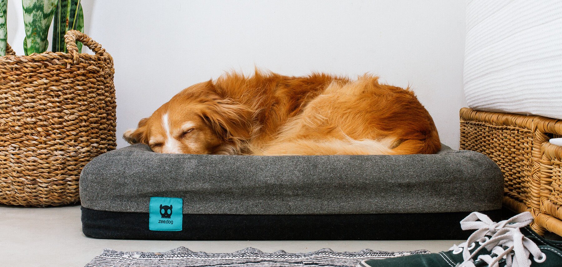 Cama "Skull" Zee.Bed