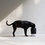 Zee.Bowl Plato Elevado