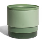 Zee.Bowl Plato Elevado