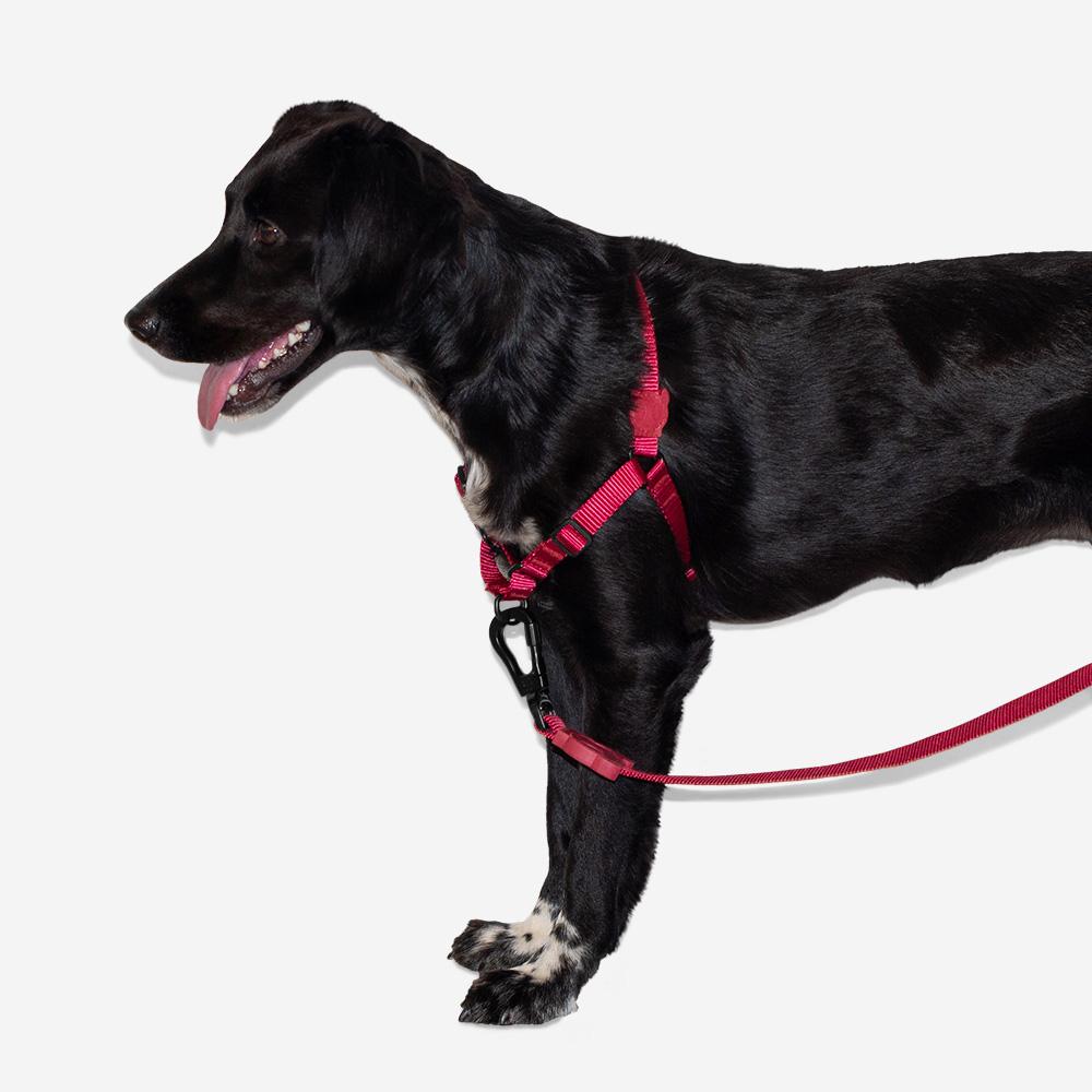 Arnés Anti Tirones "Soft-Walk" Bordeau Zee.Dog - M
