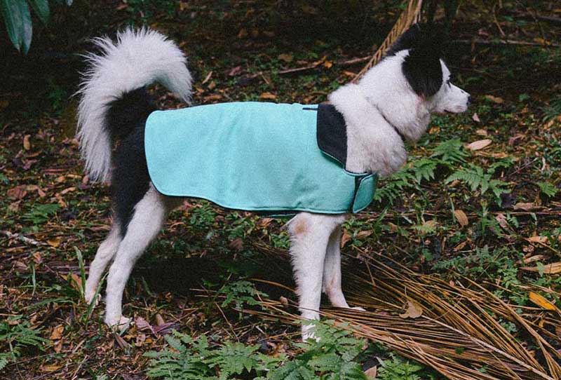 Abrigo de Invierno "Mint" Zee.Dog