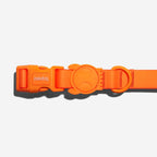 Collar para Perros Neopro "Tangerine" Zee.Dog - S