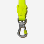 Neopro Correa "Lime" Zee.Dog