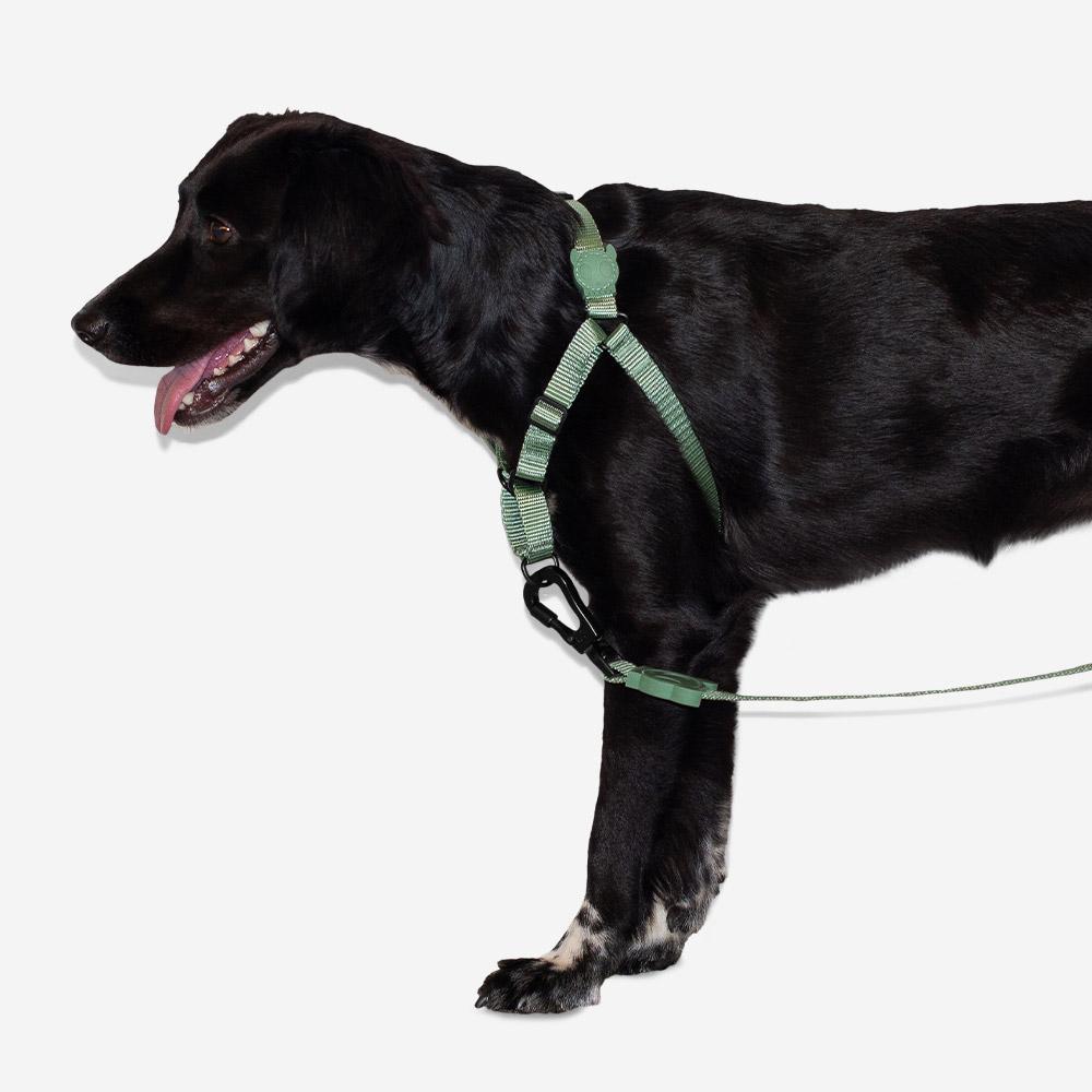 Arnés Anti Tirones "Soft-Walk" Army Green Zee.Dog - M