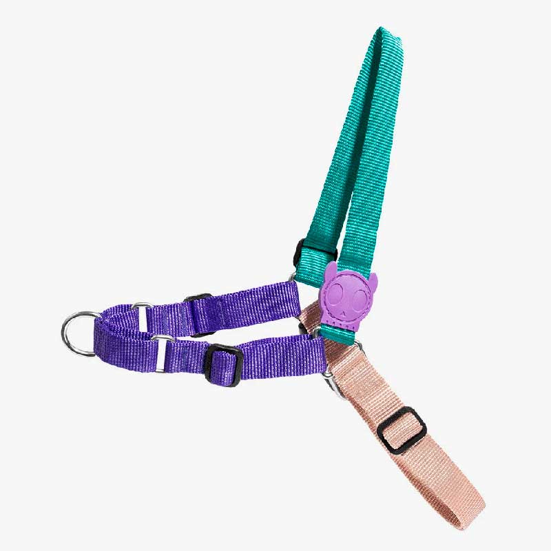 Arnés Anti Tirones "Soft-Walk" Boogie Zee.Dog - S